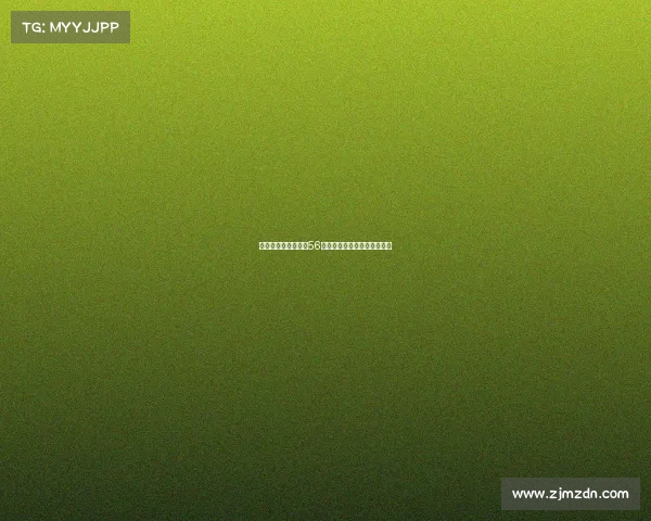 阿莱格里麾下奇克萨56等新星力争获得更多上场机会