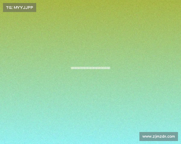 欧冠裁判组如何确保公平判罚及其背后的严格选拔机制解析